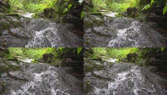 溪流-小河-水流-青苔自然生态高清在线视频素材下载