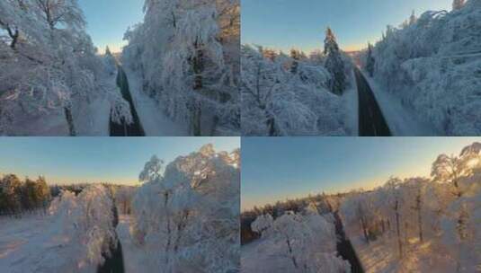 冬季森林FPV穿越机航拍高清在线视频素材下载