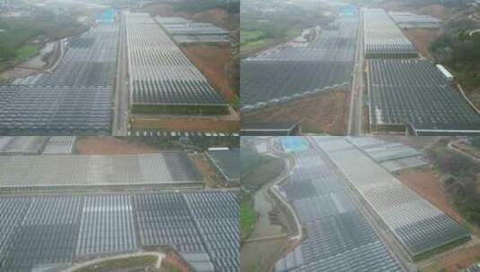 现代农业大棚种植基地航拍高清在线视频素材下载
