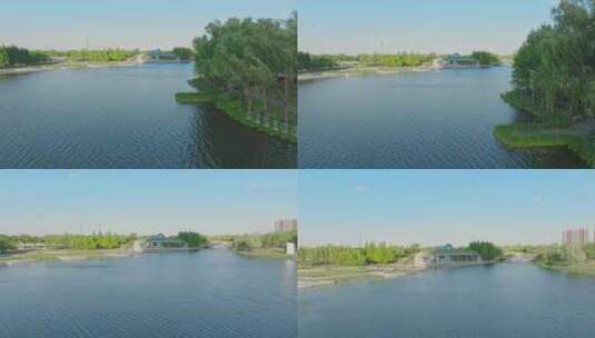 疁城之瞳航拍上海嘉定新城远香湖公园高清在线视频素材下载