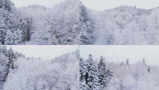 航拍山王坪冬天雪景高清在线视频素材下载