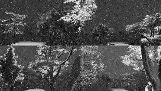 31.场景-路-下雪的小路高清在线视频素材下载