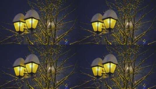 夜晚里美丽的街灯高清在线视频素材下载