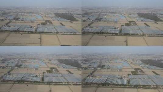 上海郊区大棚农产基地4K航拍高清在线视频素材下载
