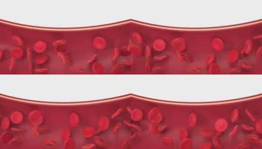 血管中的细胞 3D渲染高清在线视频素材下载