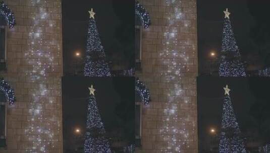 闪烁灯装扮的圣诞树高清在线视频素材下载