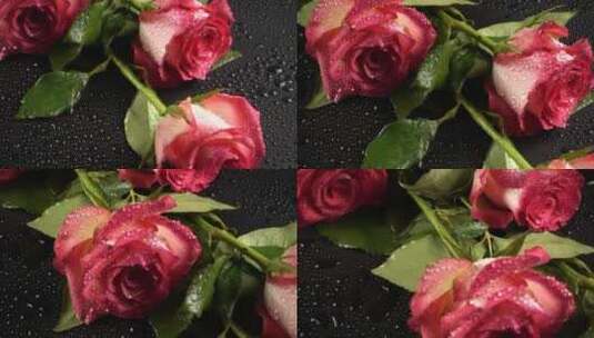 桌上摆放的玫瑰花高清在线视频素材下载