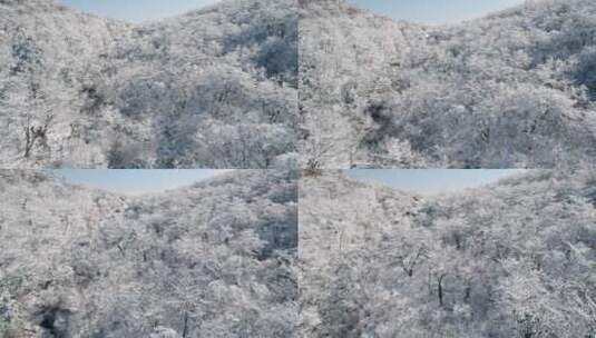 临安浙西天池江南雾凇雪景航拍高清在线视频素材下载