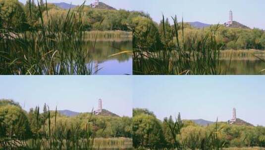 4K升格实拍远眺北京秋天玉泉山的塔高清在线视频素材下载