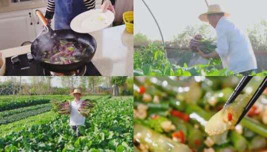新鲜红菜苔高清在线视频素材下载