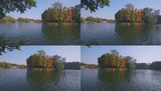 广州荔湾湖公园树林秋色与湖泊风光高清在线视频素材下载