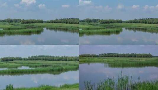 蒲河湿地滩地水草芦苇蒲草小河高清在线视频素材下载