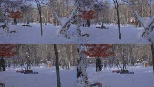 新疆阿勒泰桦林公园冬景高清在线视频素材下载