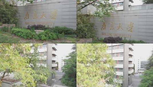 南京大学高清在线视频素材下载