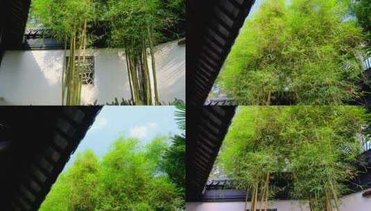 中式园林庭院围墙竹子高清在线视频素材下载