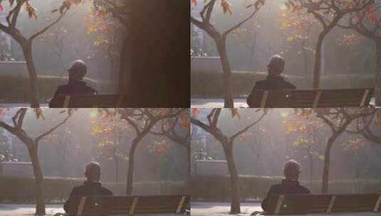 秋天公园里孤独的老人高清在线视频素材下载