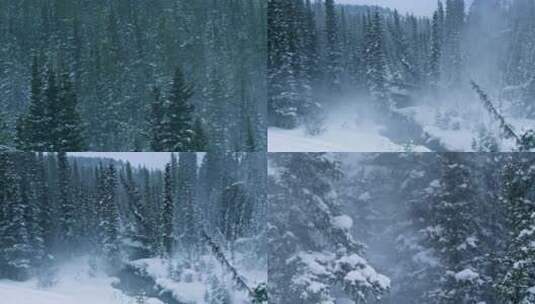 冬季森林寒风高清在线视频素材下载
