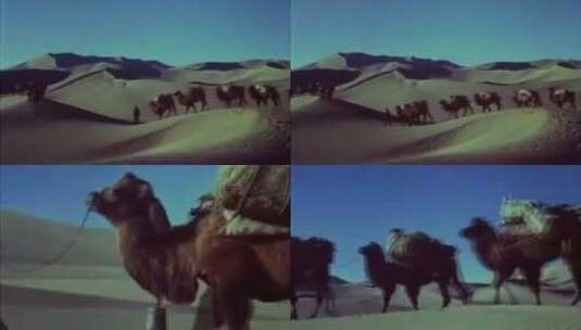 上世纪沙漠中的骆驼高清在线视频素材下载