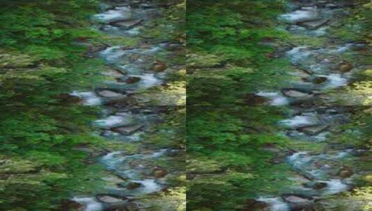 航拍山林溪水 溪水 小溪 河流高清在线视频素材下载