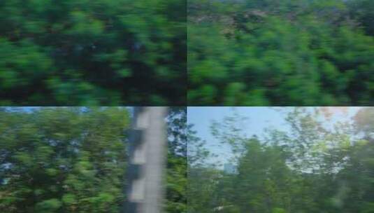 动车高铁火车窗外树木快速移动高速行驶背景高清在线视频素材下载
