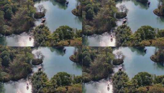 摇橹船在杭州西溪湿地河道中前行高清在线视频素材下载