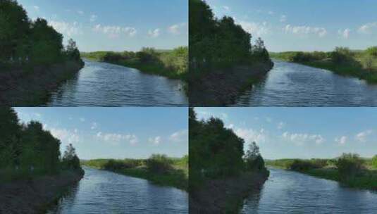 大兴安岭林区河流湿地夏日风景高清在线视频素材下载