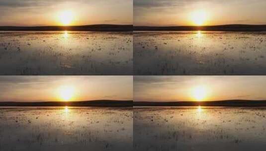 呼伦贝尔湿地湖水天鹅夕阳美景高清在线视频素材下载
