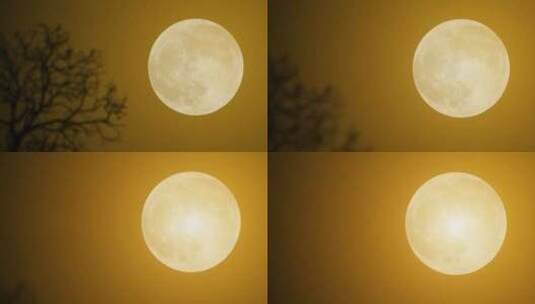 夜晚的月亮 满月特写高清在线视频素材下载