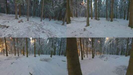 冬季森林FPV穿越机航拍高清在线视频素材下载