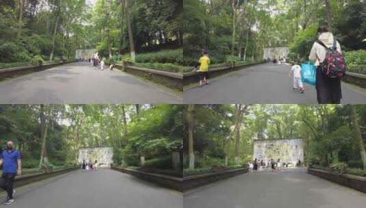 杭州动物园游客游玩高清在线视频素材下载