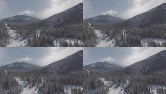 航拍大雪后的山林高清在线视频素材下载
