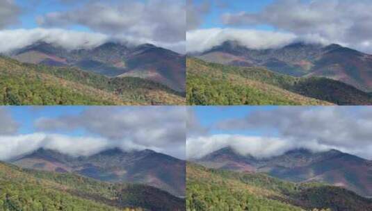 秋季森林香山红叶白云飘动延时摄影高清在线视频素材下载