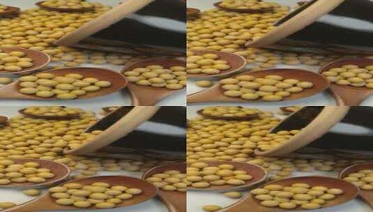 4K黄豆五谷杂粮高清在线视频素材下载