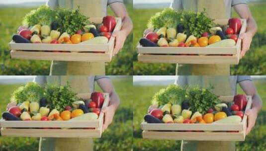 农民拿着一个装满新鲜蔬菜的盒子高清在线视频素材下载