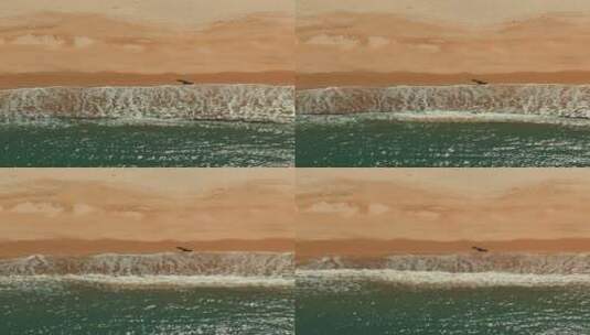 俯拍大海海浪拍打沙滩高清在线视频素材下载