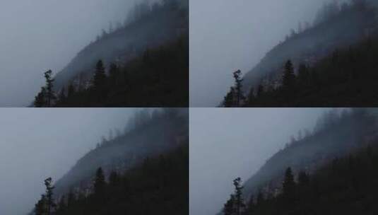 山中森林清晨水汽雾气朦胧高清在线视频素材下载
