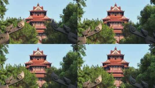 武汉东湖风景区，仰视上升镜头高清在线视频素材下载