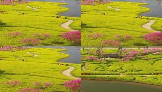 治愈风景，生活不止眼前的苟且还有诗和远方高清在线视频素材下载