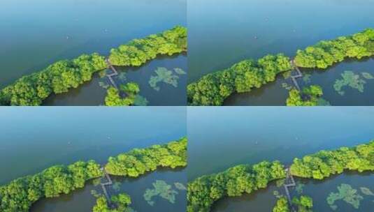 杭州西湖航拍高清在线视频素材下载
