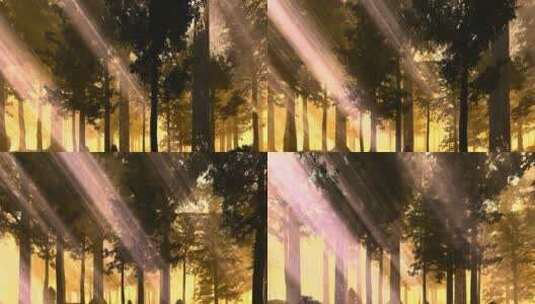 场景-树林-平移高清在线视频素材下载