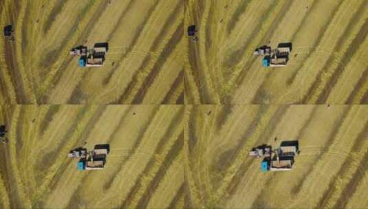 麦田上的农业机械鸟瞰图高清在线视频素材下载