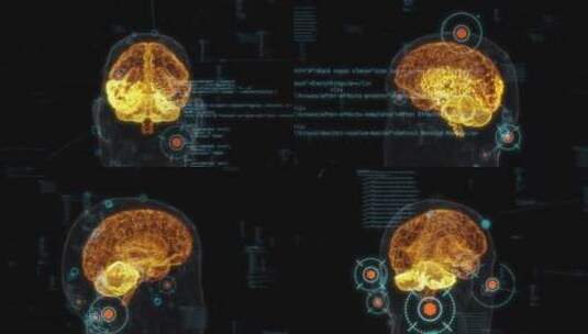 3D三维人体身体器官机能透视动画展示-大脑高清在线视频素材下载