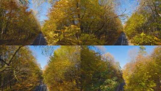 航拍秋天的林间小路高清在线视频素材下载