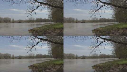 河流树木景观高清在线视频素材下载