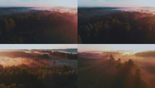 森林光影云雾天然氧吧清晨山间云雾自然生态高清在线视频素材下载