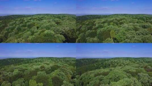 春天航拍美丽的大自然森林山峰高清在线视频素材下载