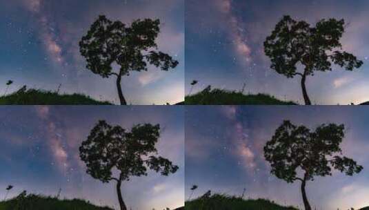 广东江门浪漫的大树与银河高清在线视频素材下载