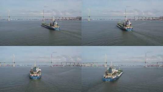 湛江的各种船高清在线视频素材下载