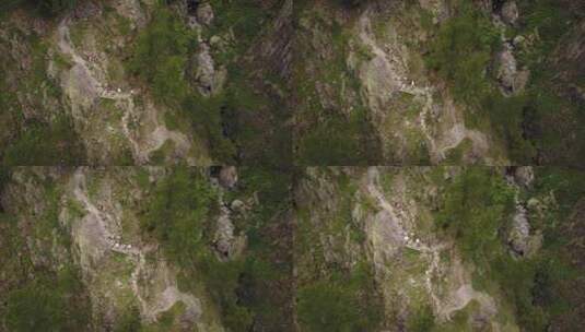 无人机拍摄的瑞士阿尔卑斯山的自然路径，人们正在行走。空中拍摄高清在线视频素材下载