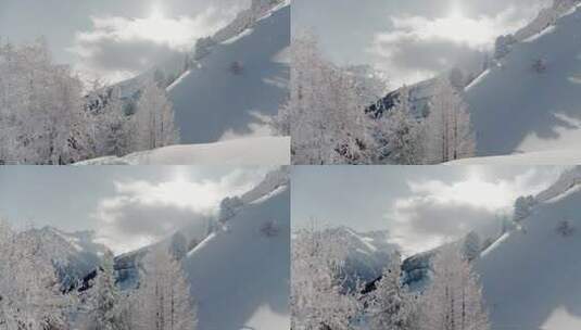 航拍雪山日出雪松阳光穿过云层山顶雪景高清在线视频素材下载